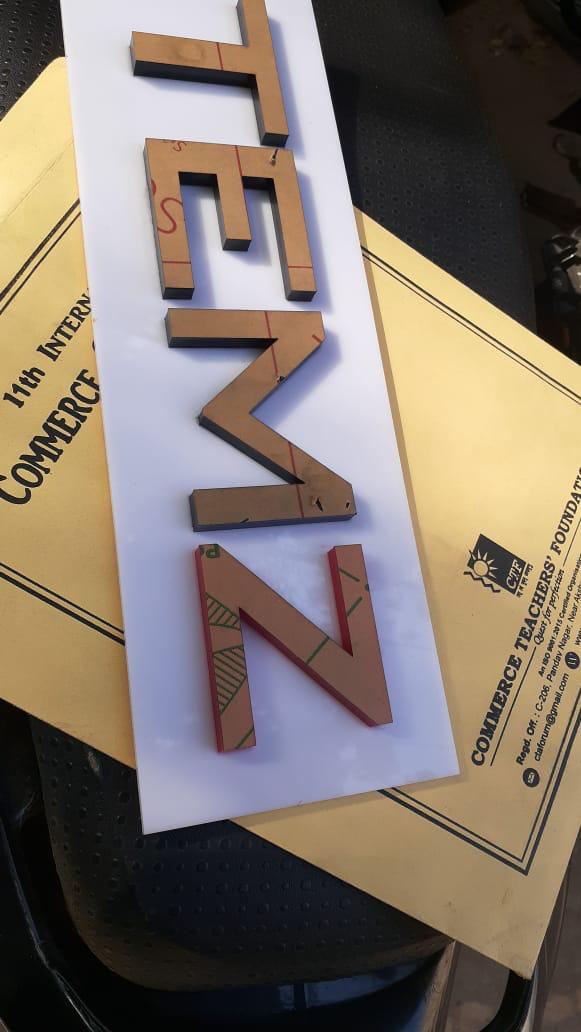 TEMZ cut 3D letters
